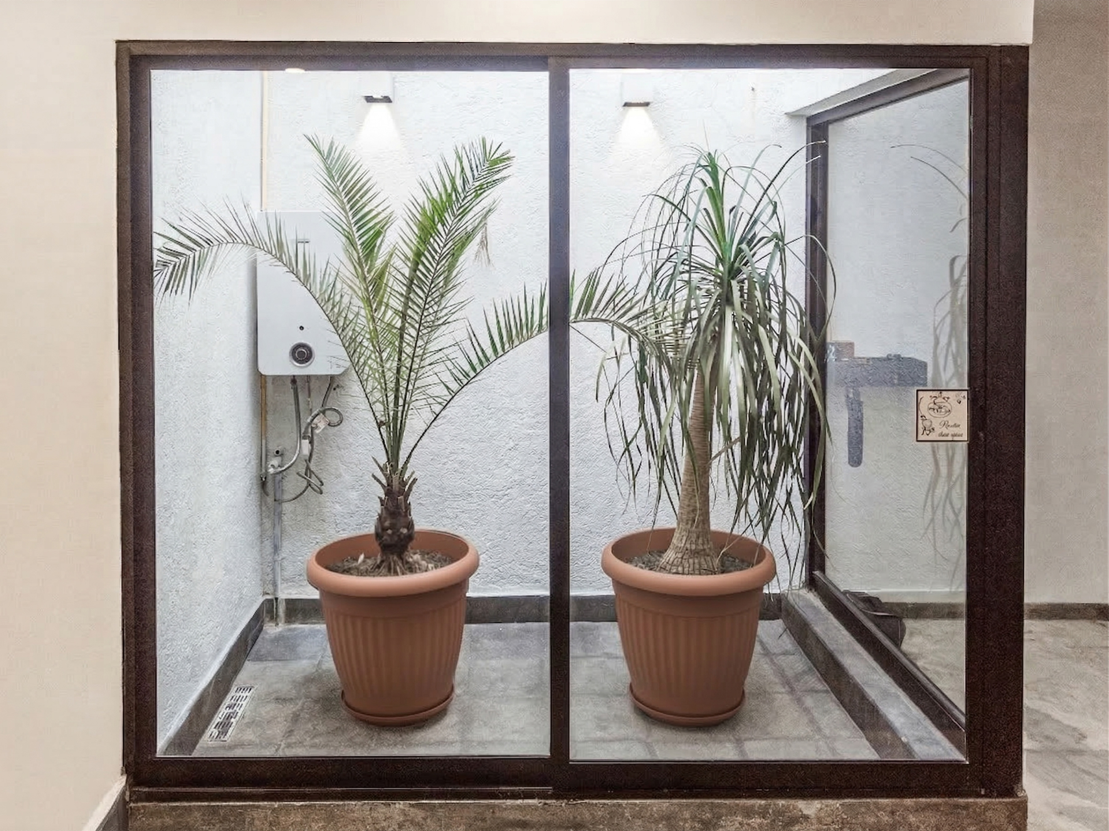 Tragaluz y Jardín Interior