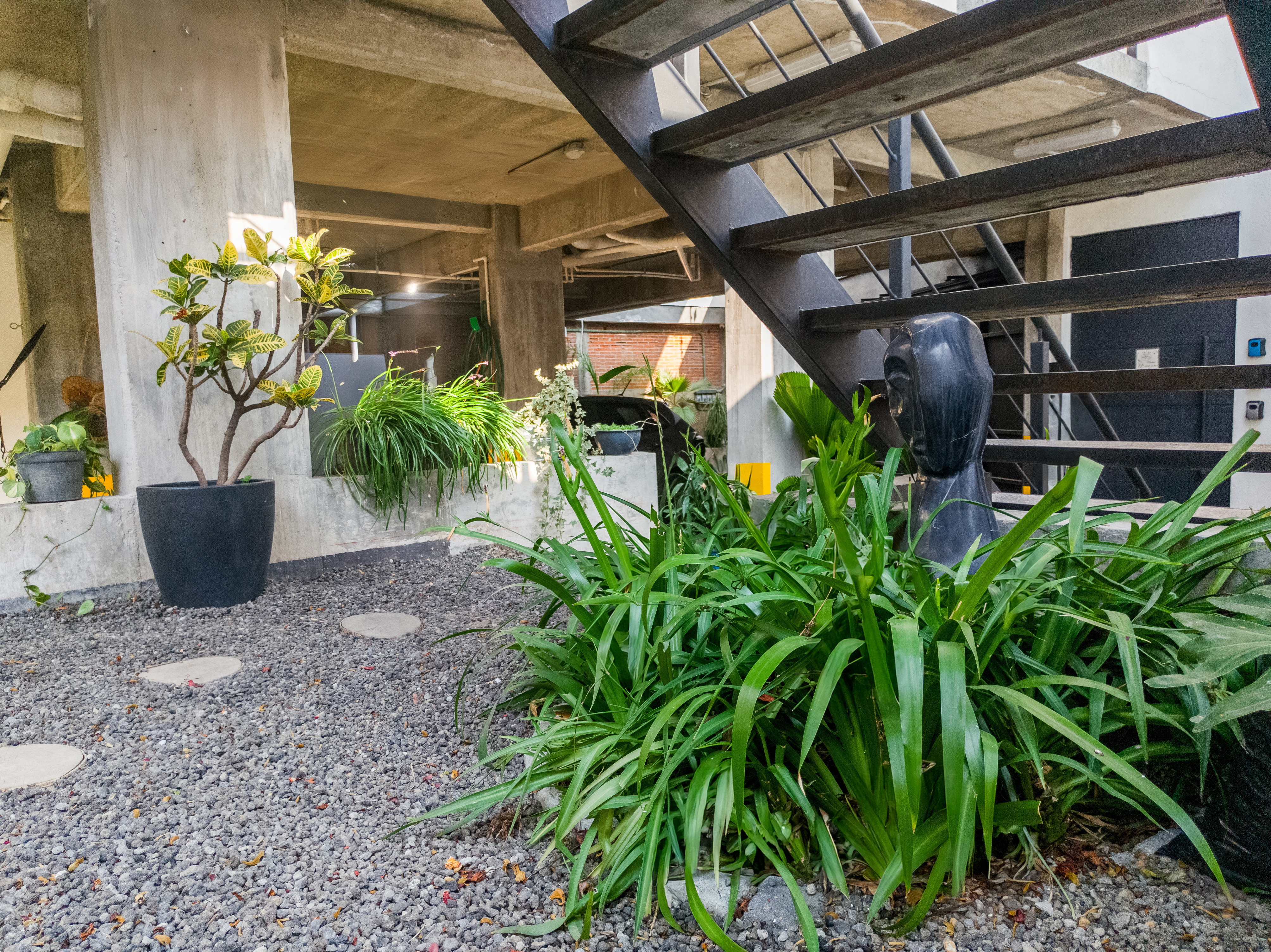 Entrada y Estacionamiento